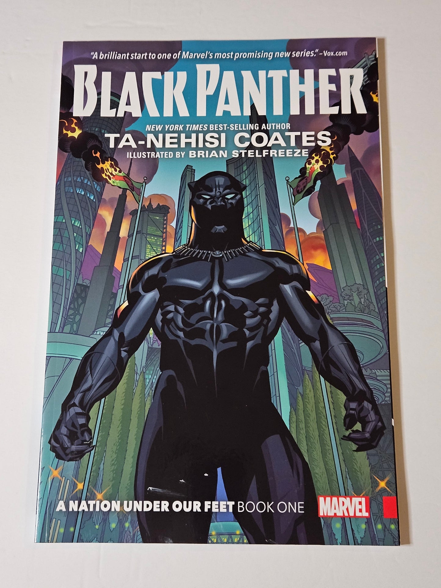 Marvel Black Panther A Nation Under Our Feet Book One (Paperback)