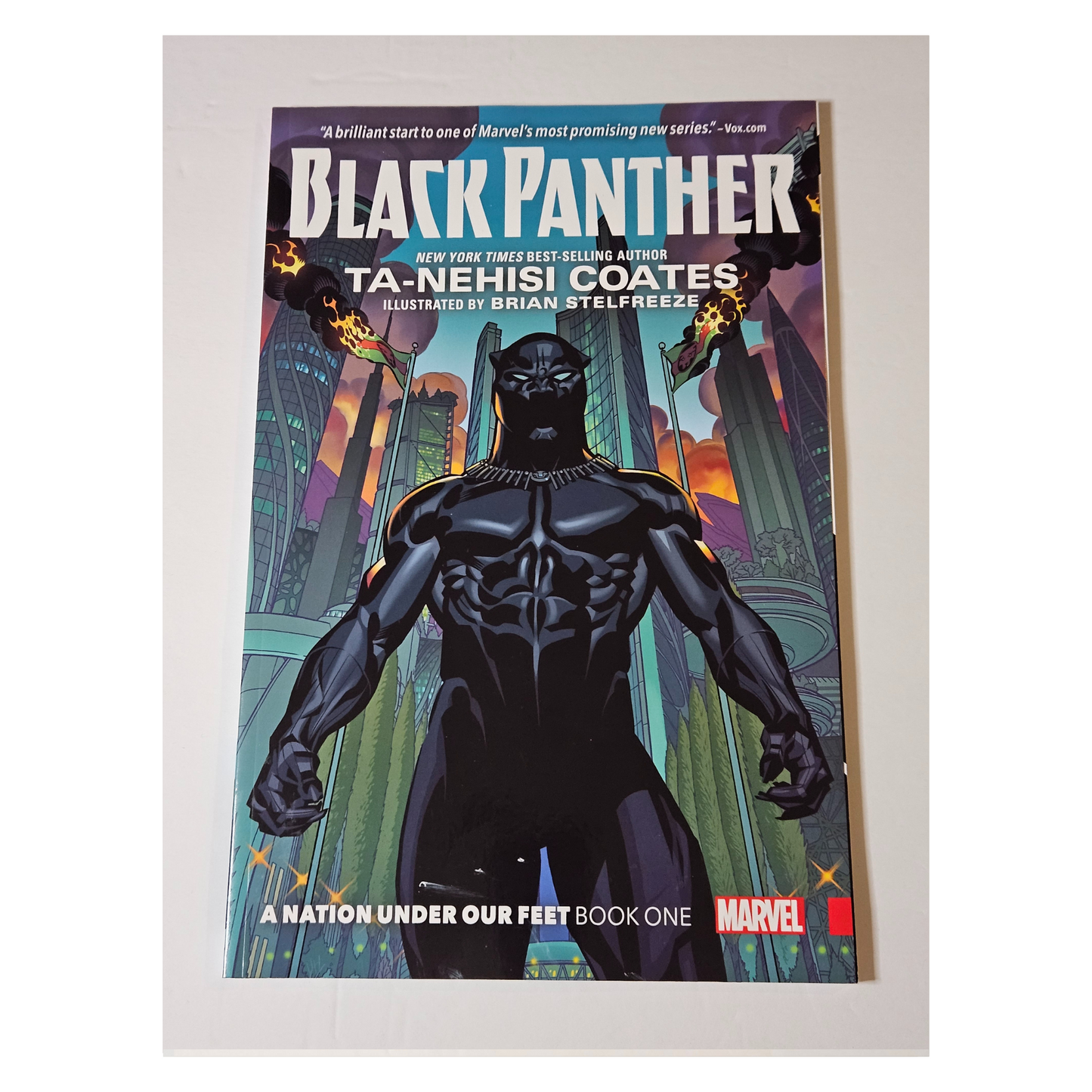 Marvel Black Panther A Nation Under Our Feet Book One (Paperback)